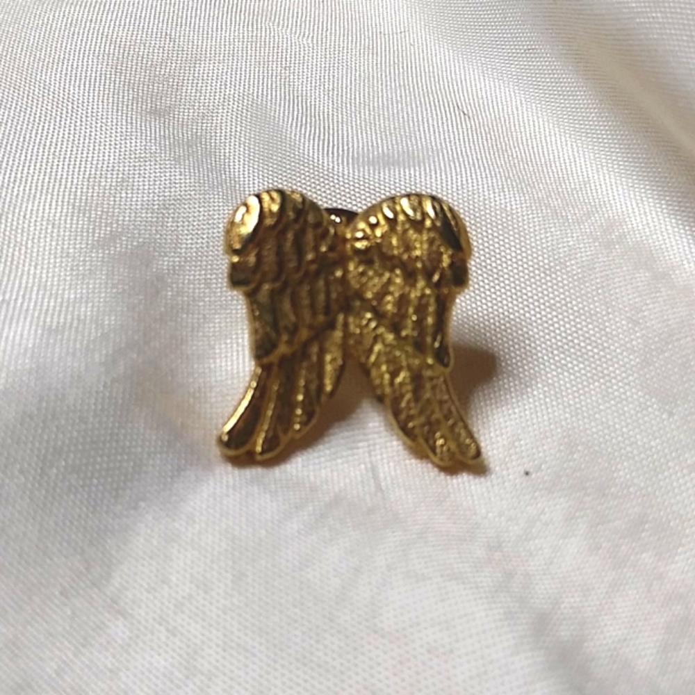 Angel Wings Pin